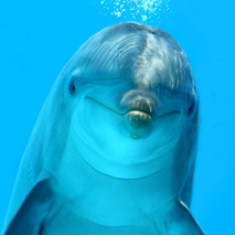 image-processing-server